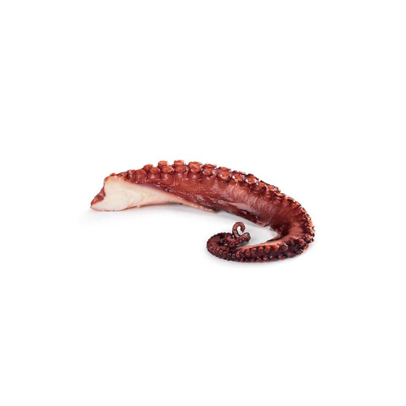 Pulpo Tentakeln gekocht