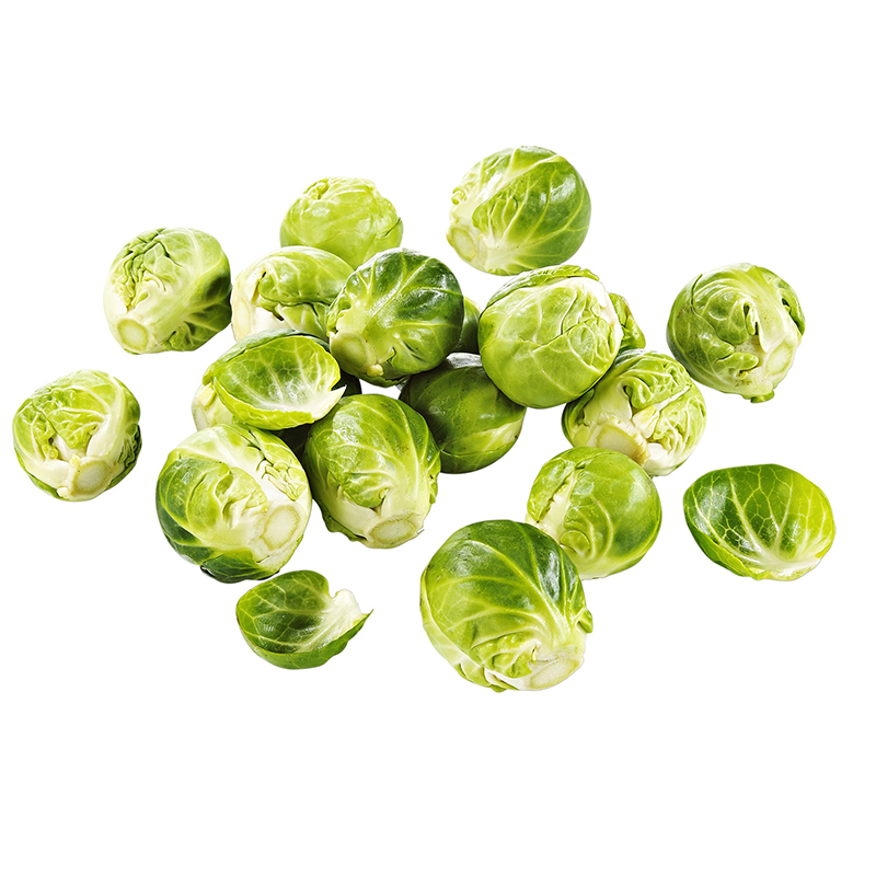 ROSENKOHL KALIBER A