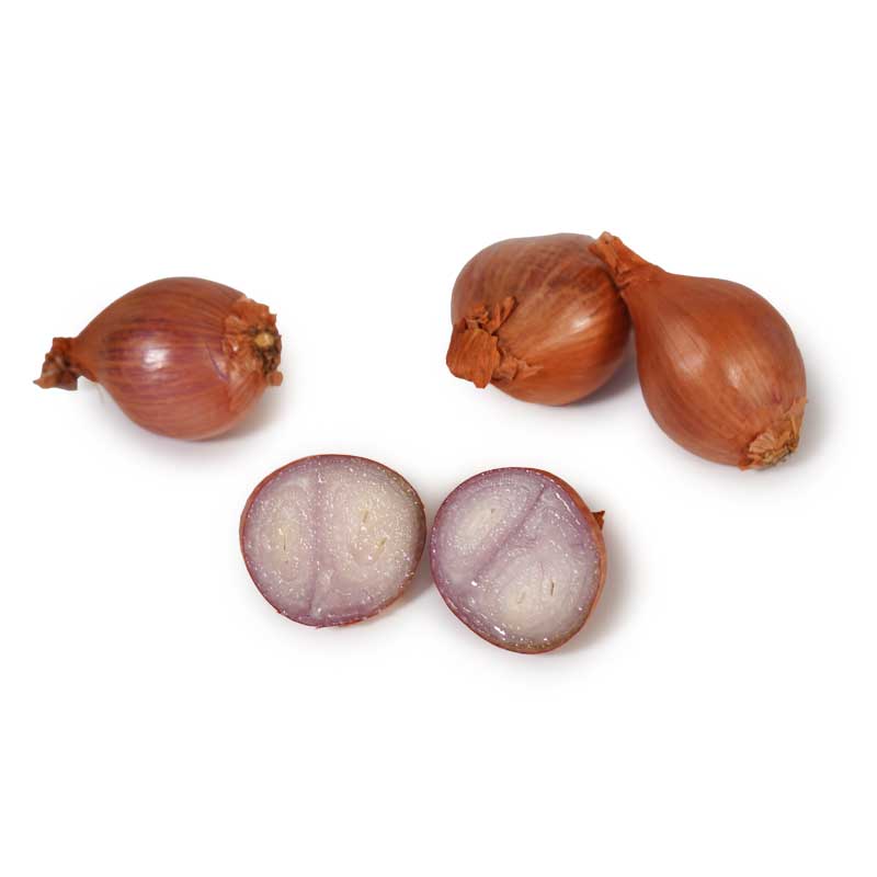 Oliven Jumbo grün