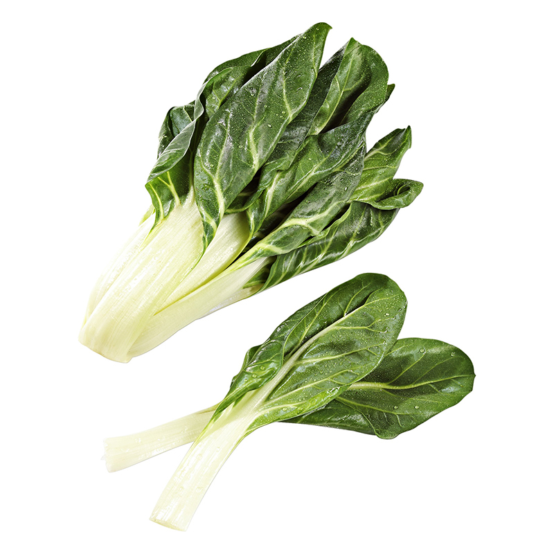 KRAUTSTIELE MIT BLATT