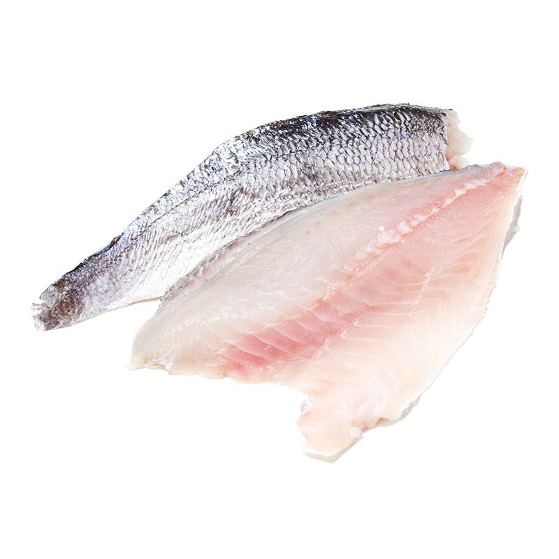 Loup-Bar Filet "Zucht"