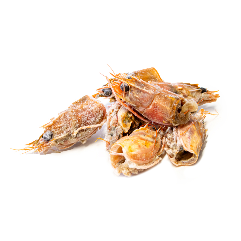 Têtes de langoustines XXL