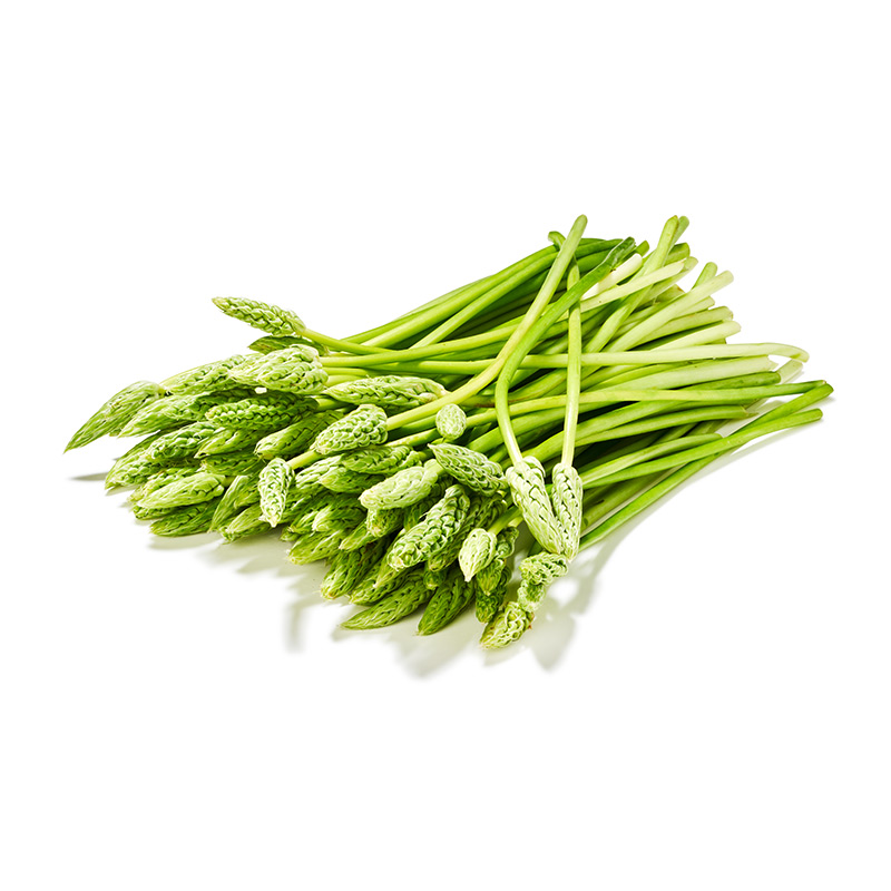 Spargel wild grün