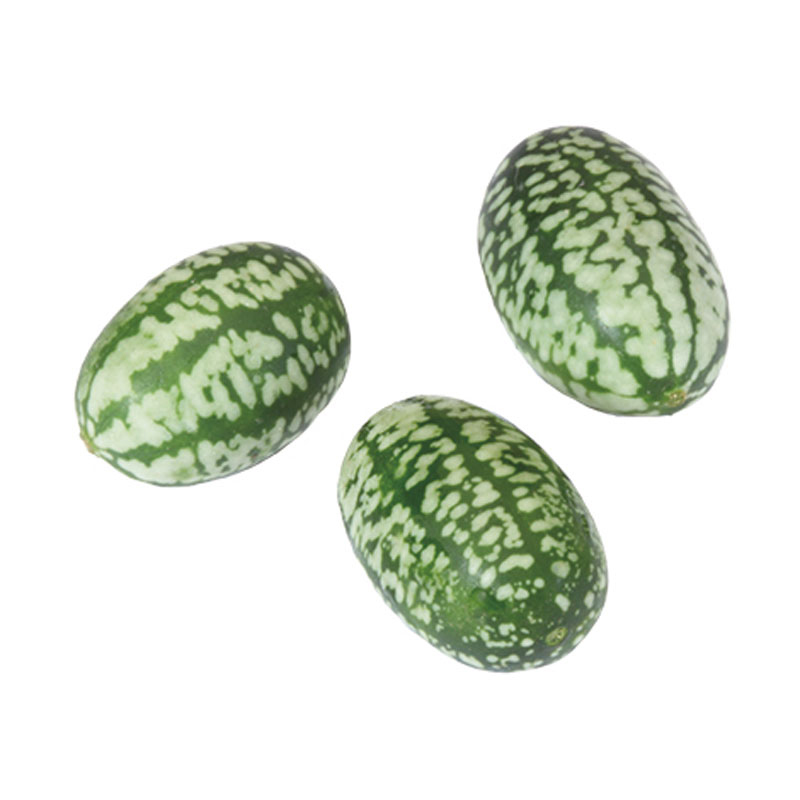 Micro Gurke Olivengurke