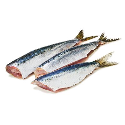 Sardinenfilet Butterfly "Wildfang"