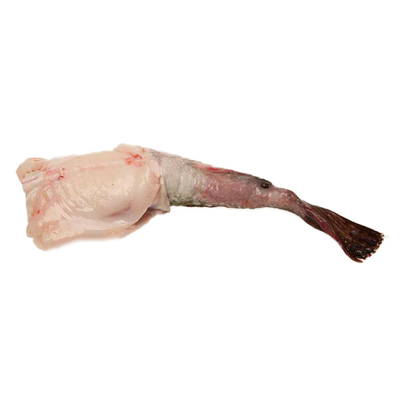 Seeteufel 2-4kg m. Bauchlappen GB