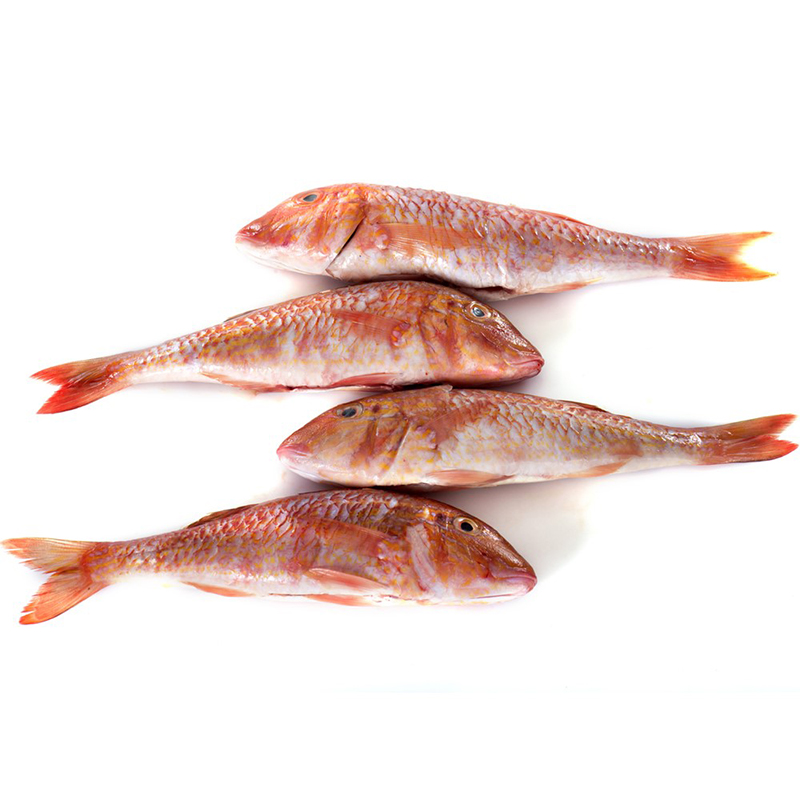 Rouget-Barbet 250-500gStk EU