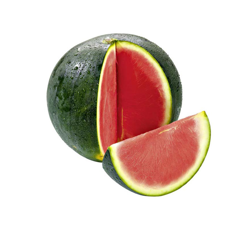 Wassermelone kernlos