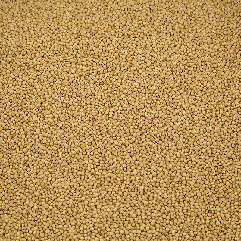 BIO Amaranth ganz