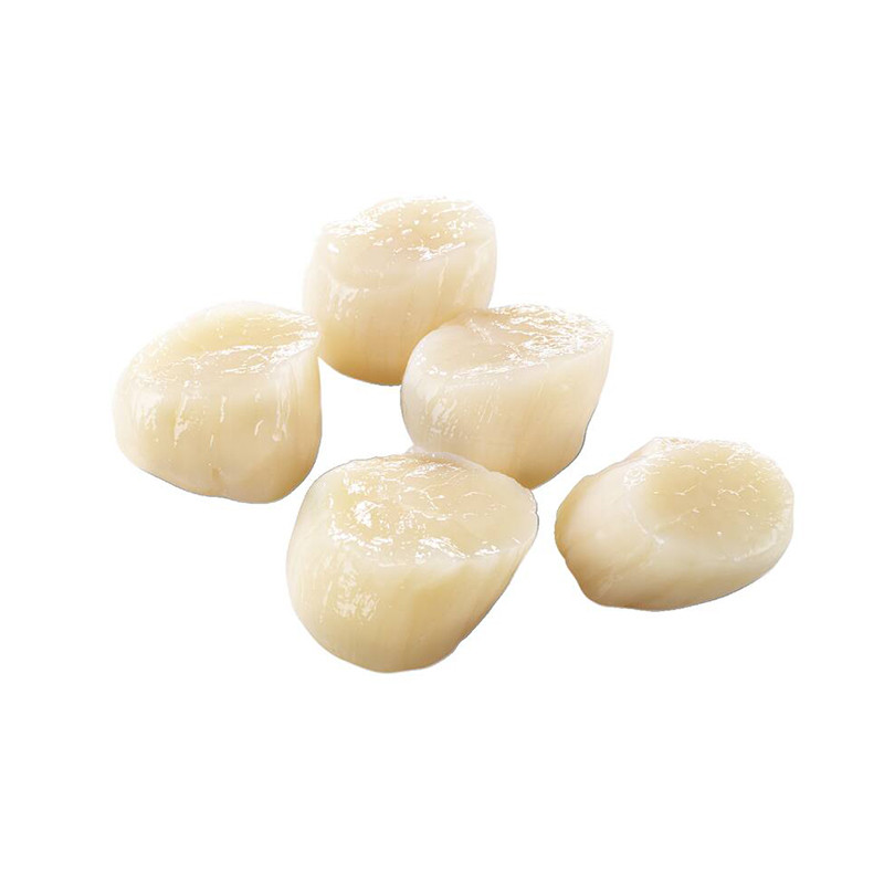Noix de coquilles