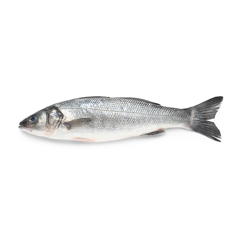 Loup-Bar 1-2kg Wildfang