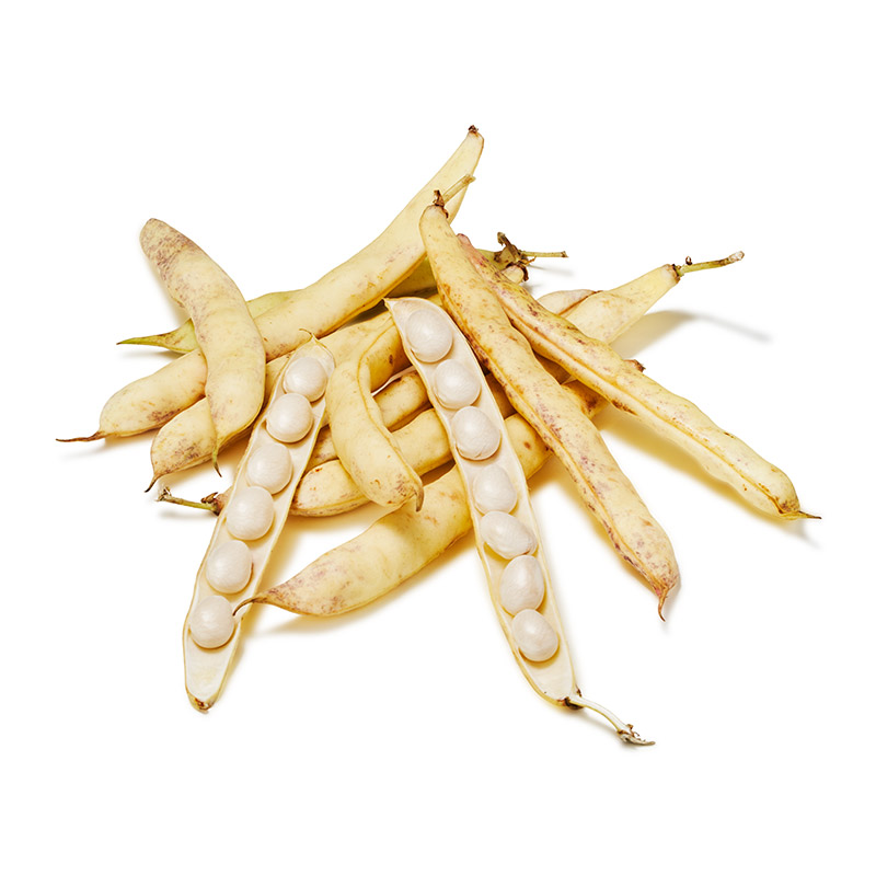 Coco de Paimpol