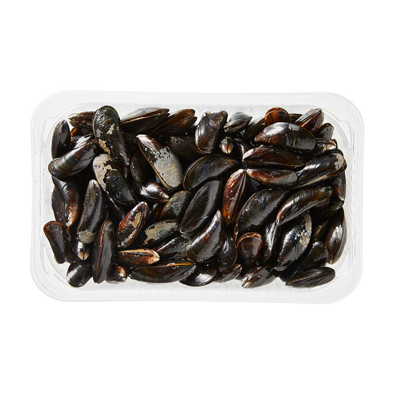 Muscheln Imperial