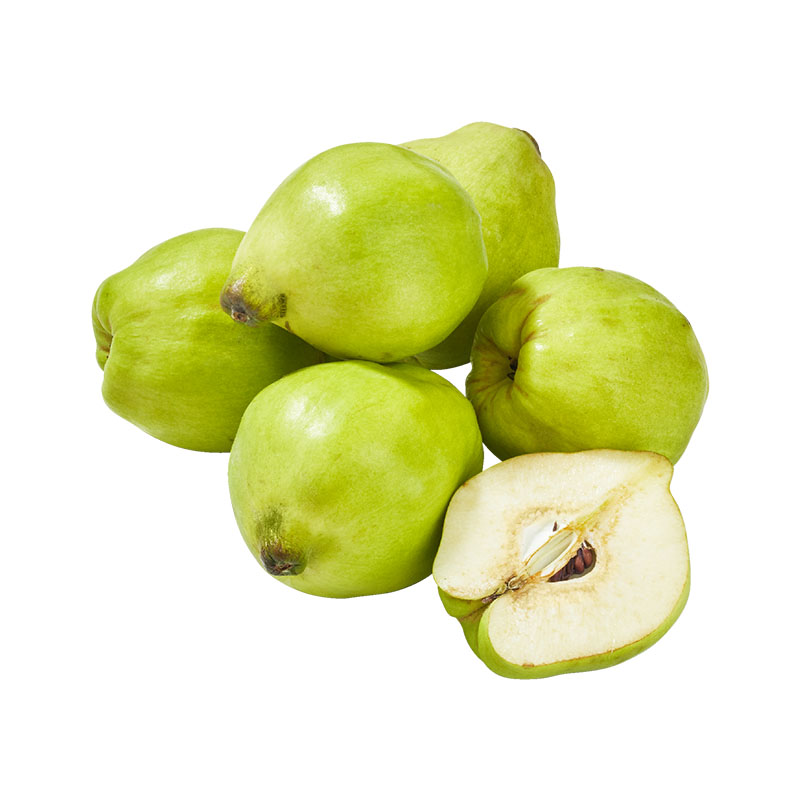 Quitten