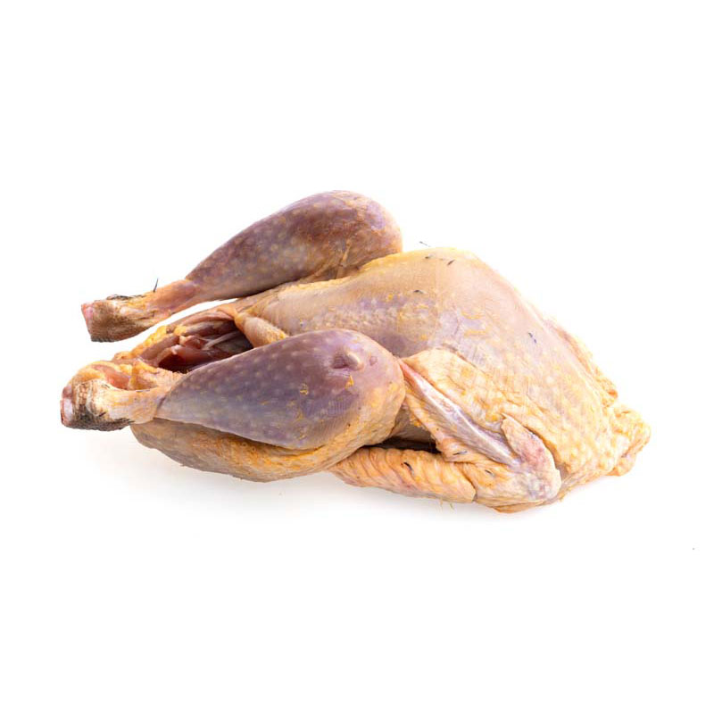 Perlhuhn-1