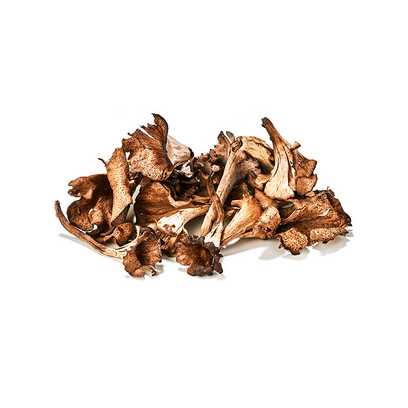 Herbsttrompeten