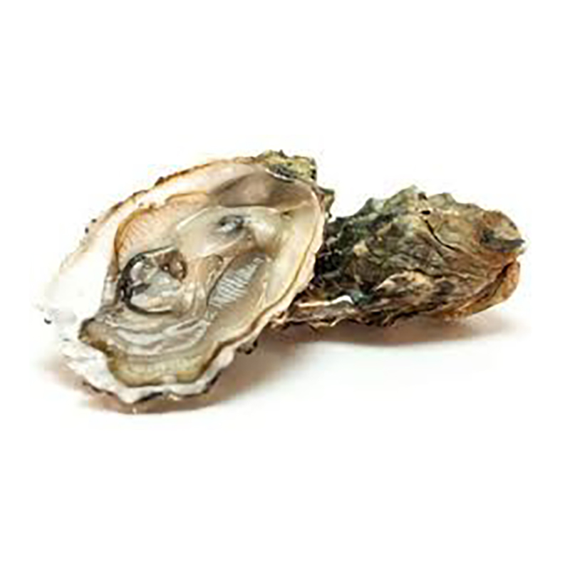 Creuse de Bretagne speciale