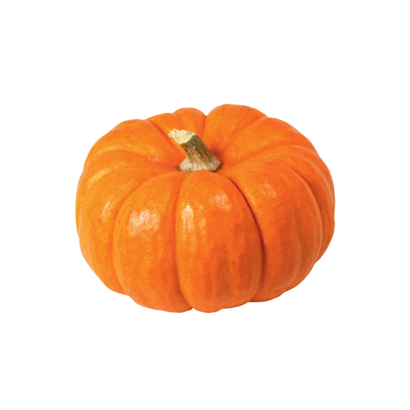 Mini-Kürbis-Jack-be-little-