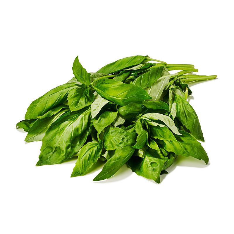Basilikum frisch 100g
