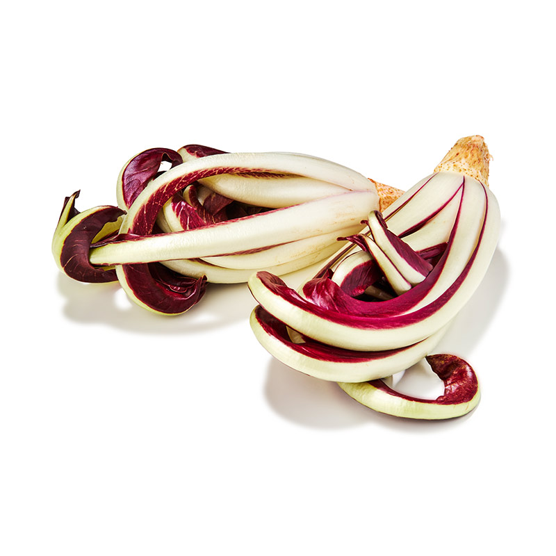 Radicchio tardivo
