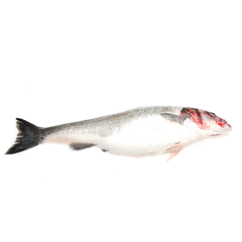 Bar de ligne "sauvage"