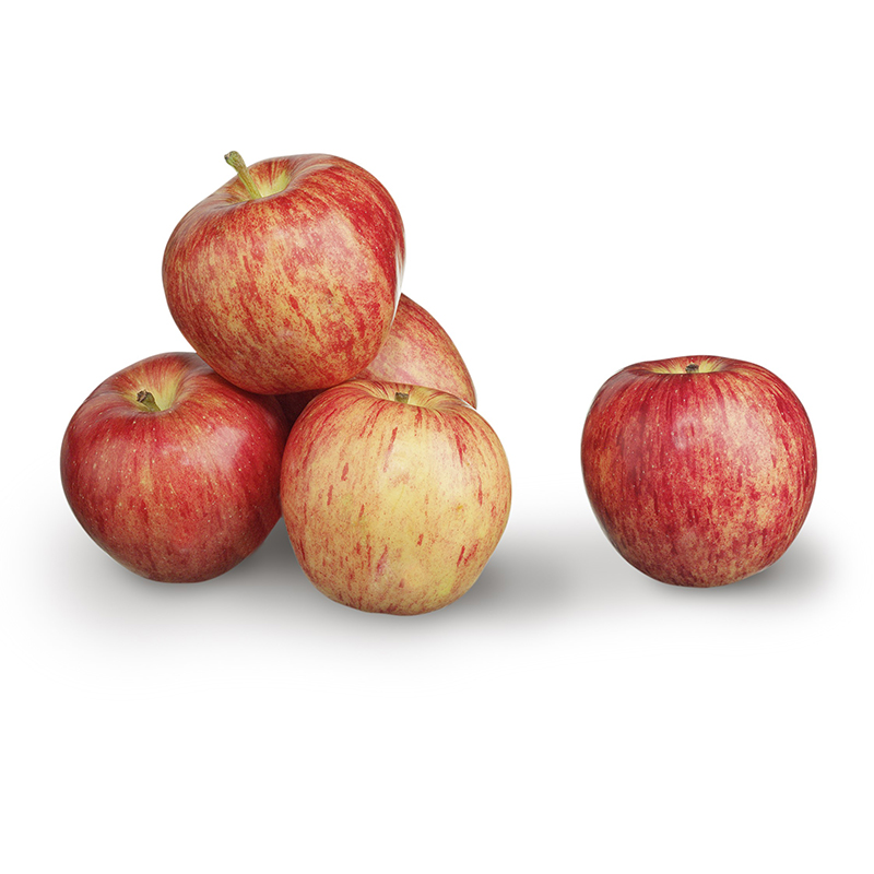 APFEL GALA ROYAL 1.KL