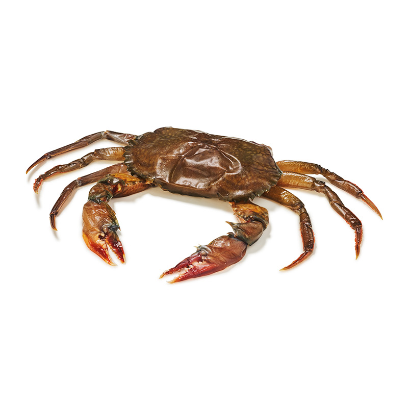 Soft shell crab