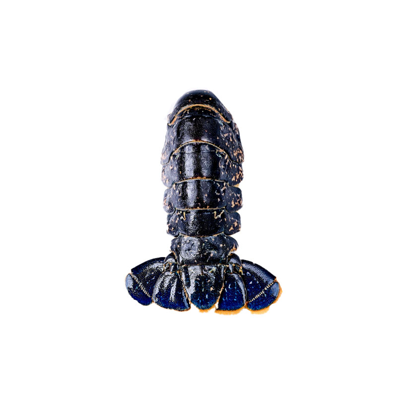 Queue de homard bleu crue avec carapace UHP