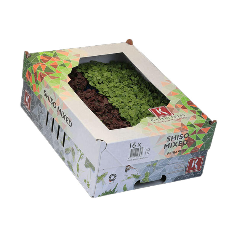 Shisomix aus 4 Sorten "Koppert Cress "