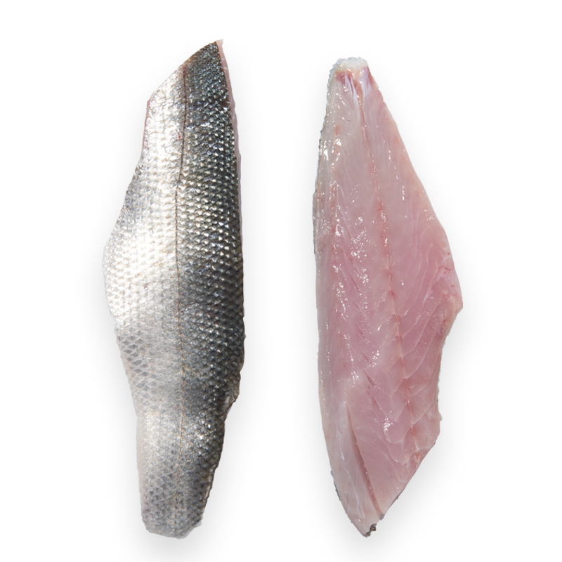 Loup-Bar Filet 100-130gStk   m.H. o.G. GR