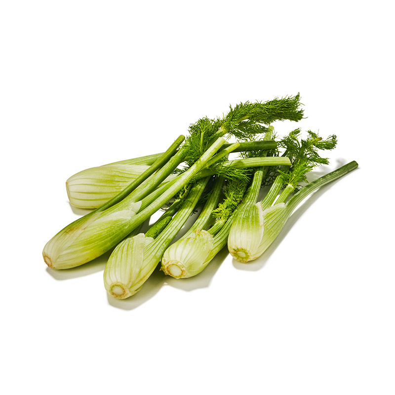 Mini fenouille