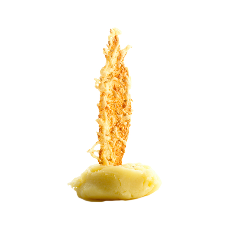 Parmesan-Segel_LF-Didess-