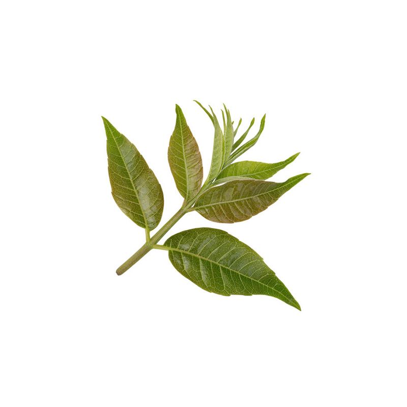 Koppert Tahoon® Tops