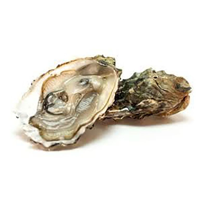Creuse de Bretagne speciale