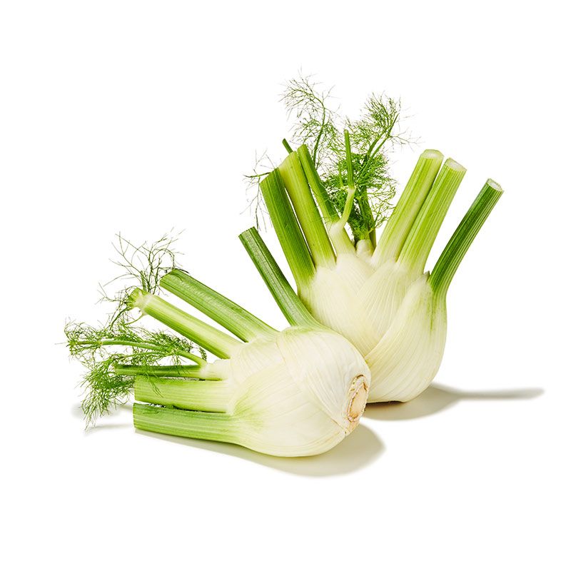 Fenouil  (S)