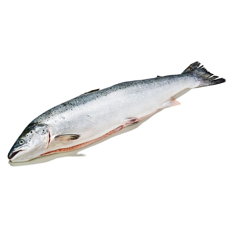 Lachs Label Rouge "Zucht"