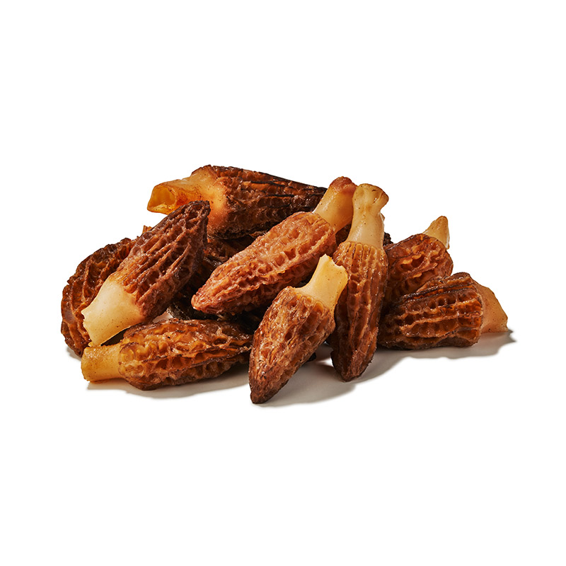 Morilles