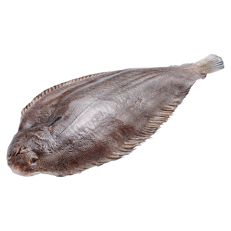 Seezungen 800g-1kg GB