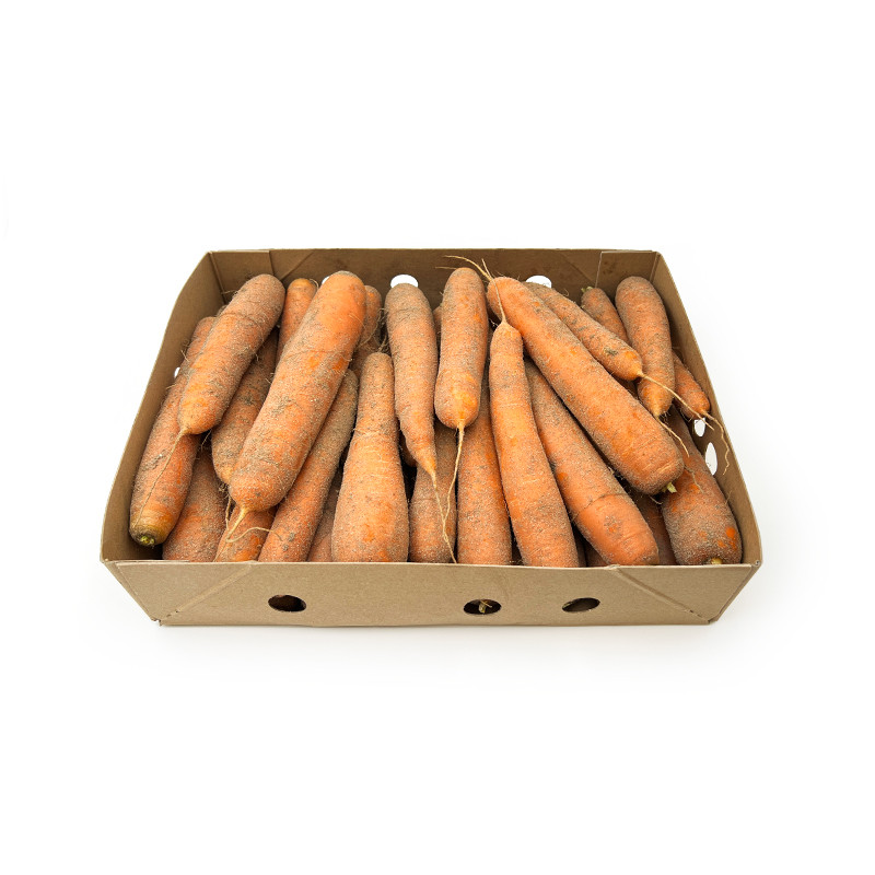 karotten-sand-carottes