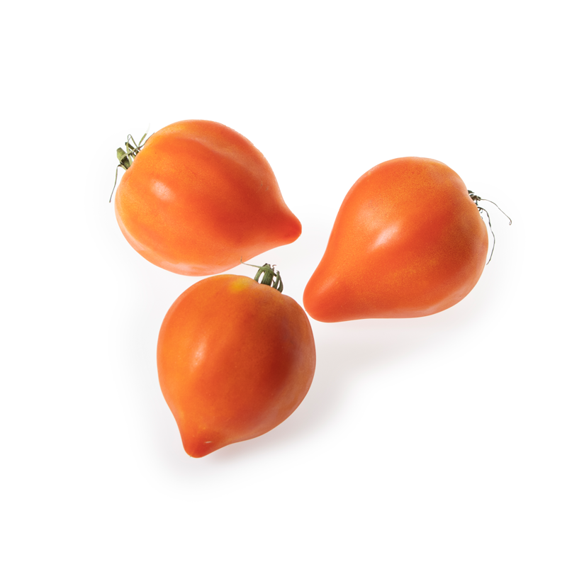 Tomaten-Coeur-de-boeuf-Seeland-