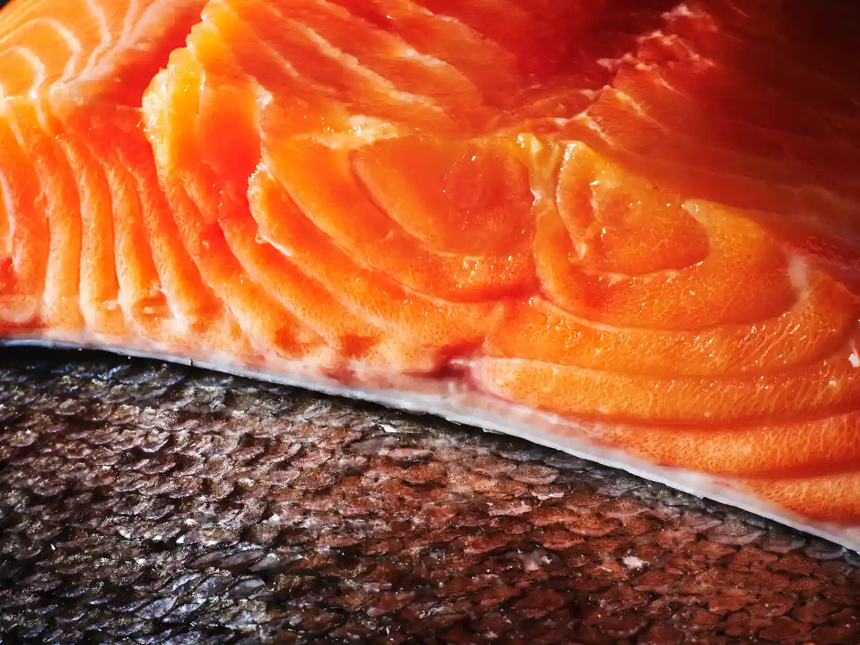 Fisch und Meeresfrüchte