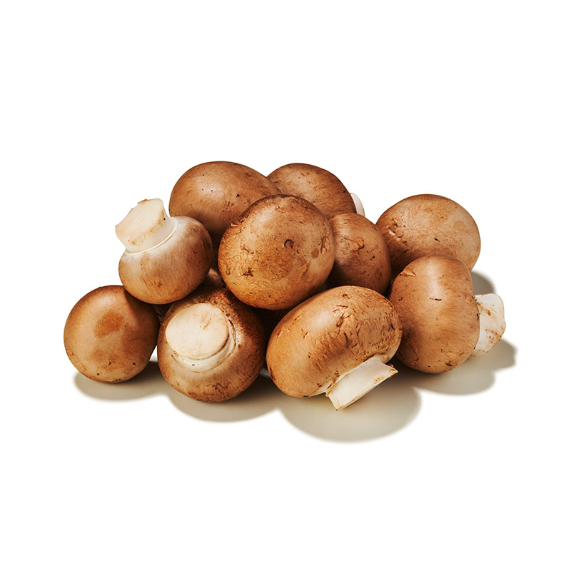 Champignons braun