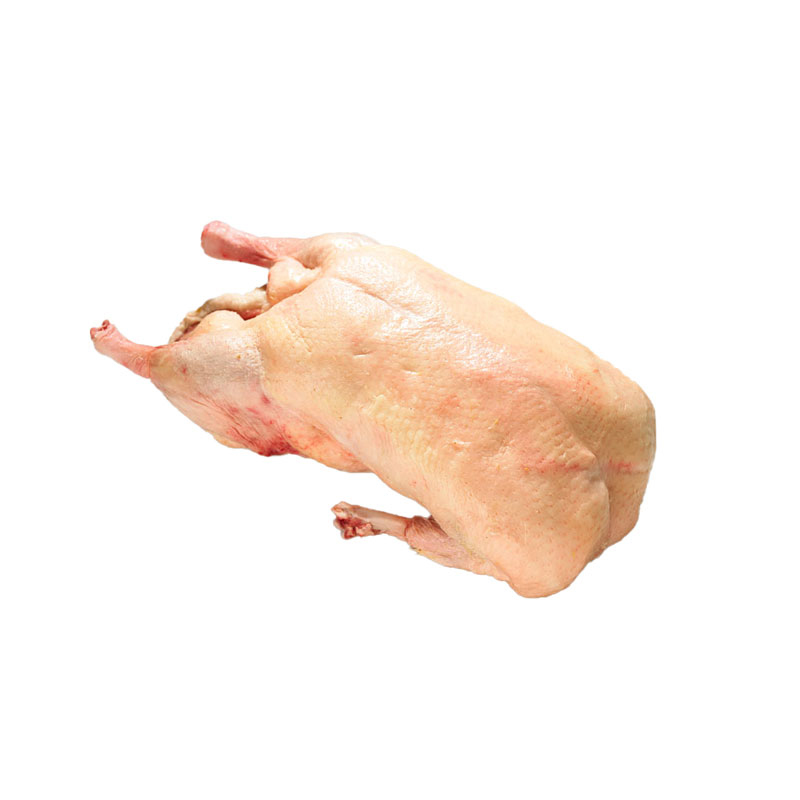 Ente Appenzell ppf
